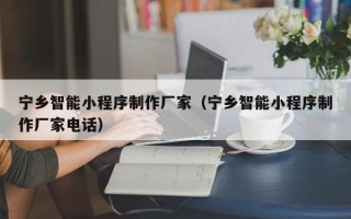 常德宁乡智能小程序制作厂家（宁乡智能小程序制作厂家电话）