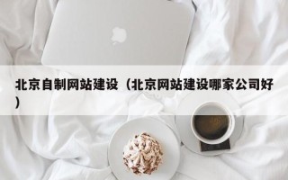 常德北京自制网站建设（北京网站建设哪家公司好）